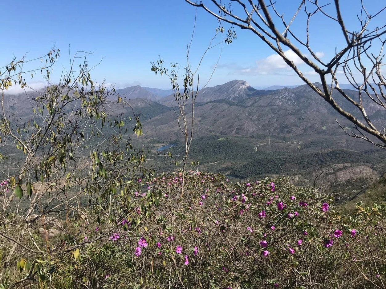 Trilha sinuosa