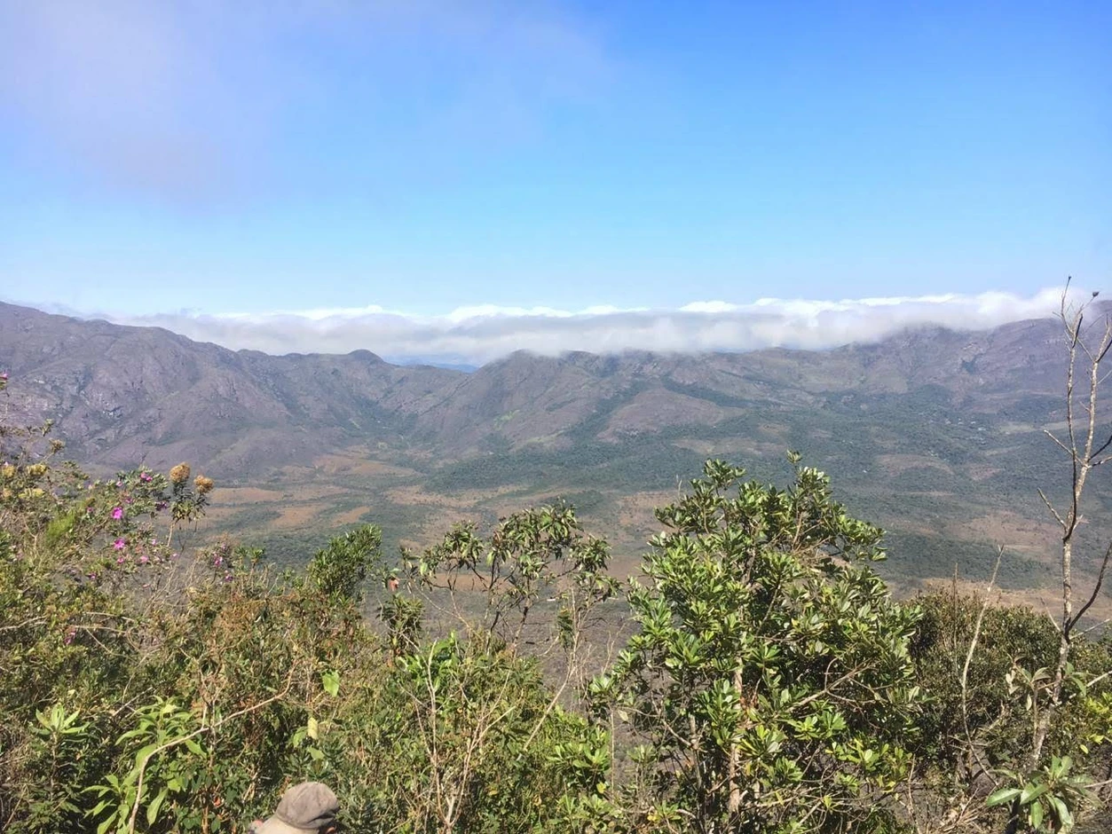Vista do topo